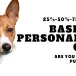 Are You a Pure Bred Basenji Owner?